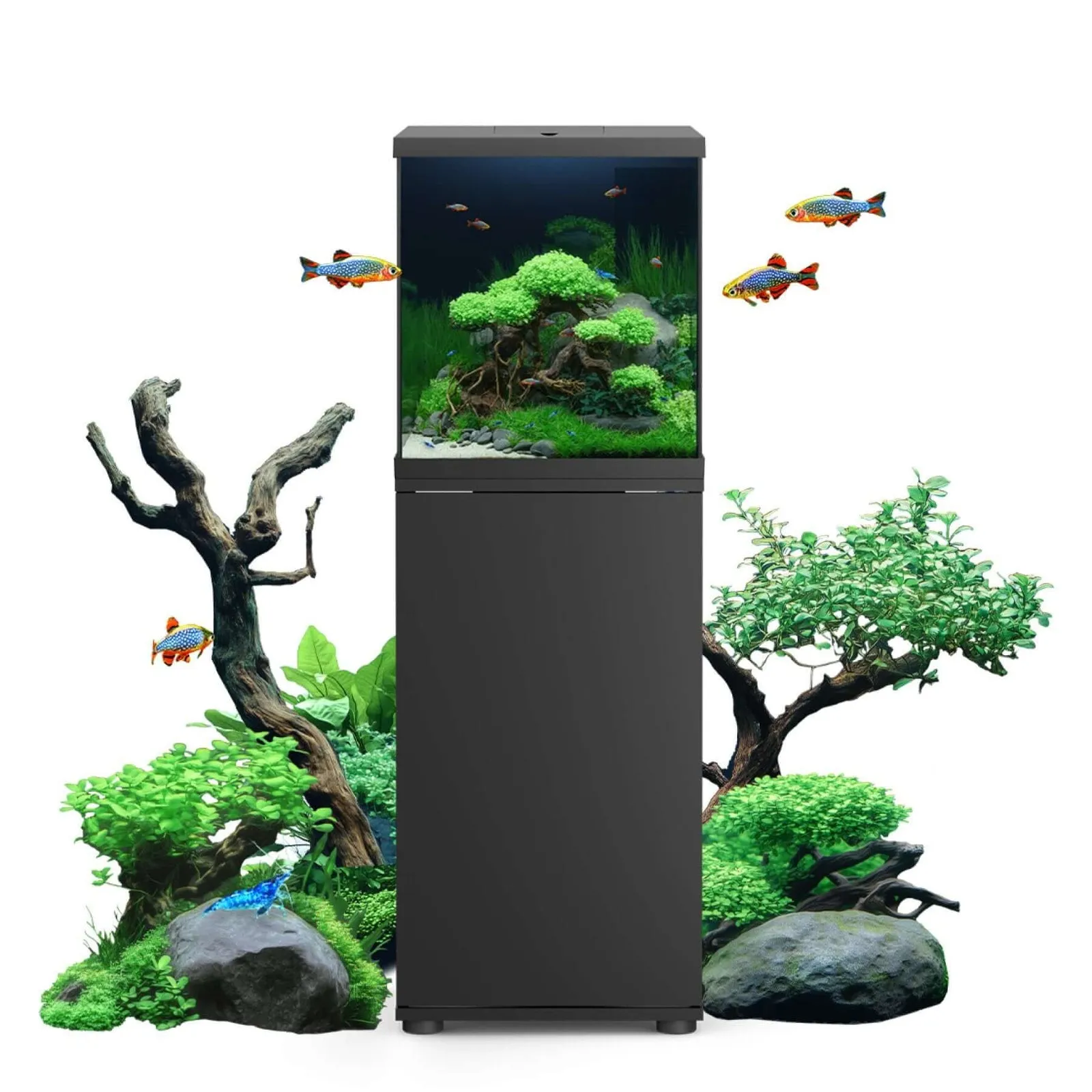 JUWEL Vio Cube aquarium