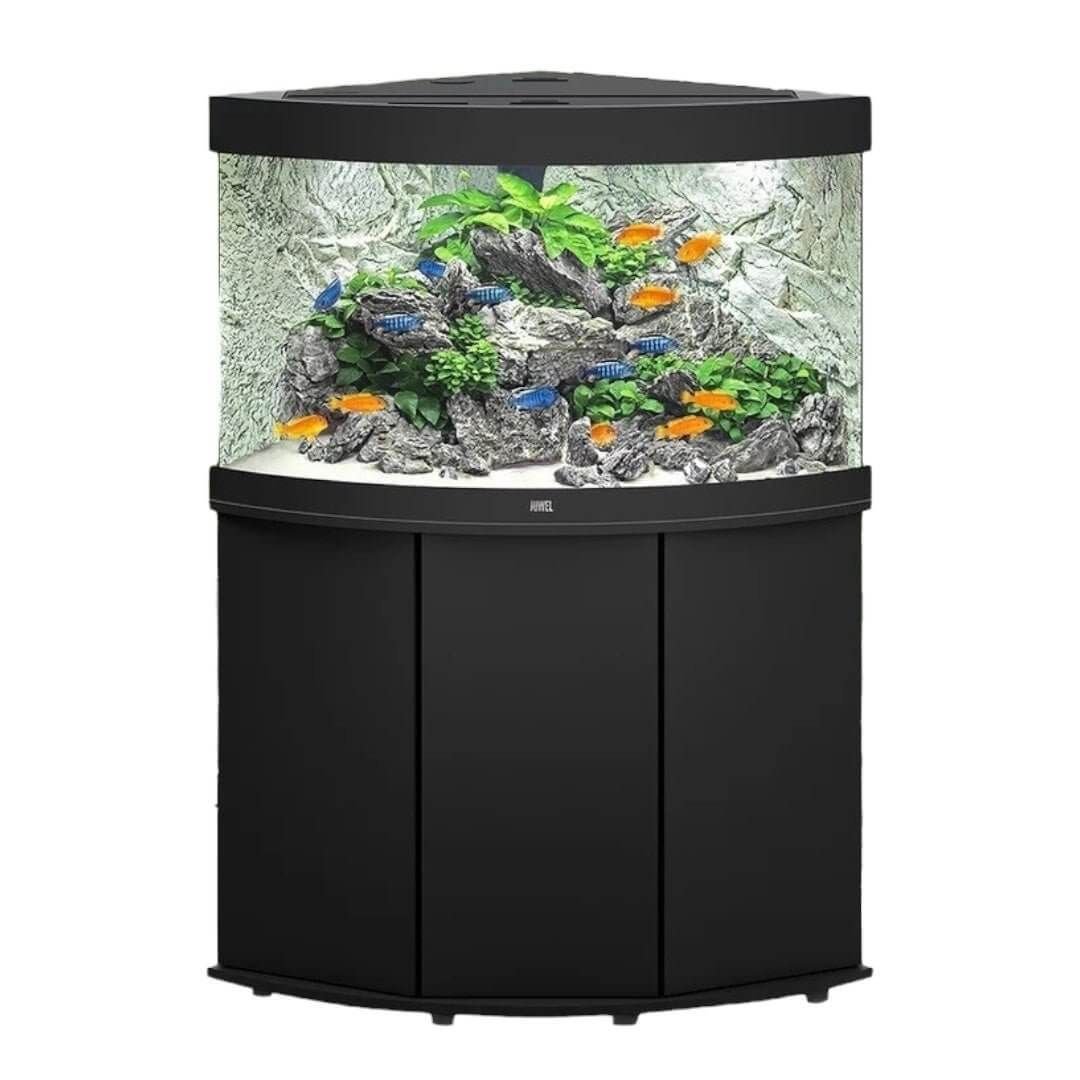 JUWEL Trigon aquarium